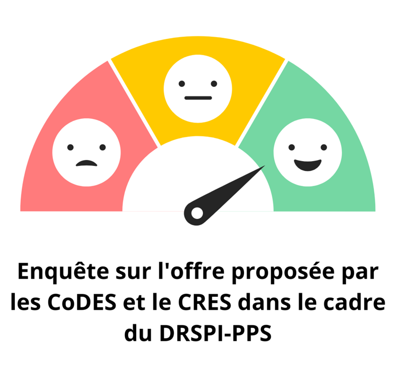 Enquête sur l'offre proposée par les CoDES et le CRES dans le cadre du DRSPI-PPS